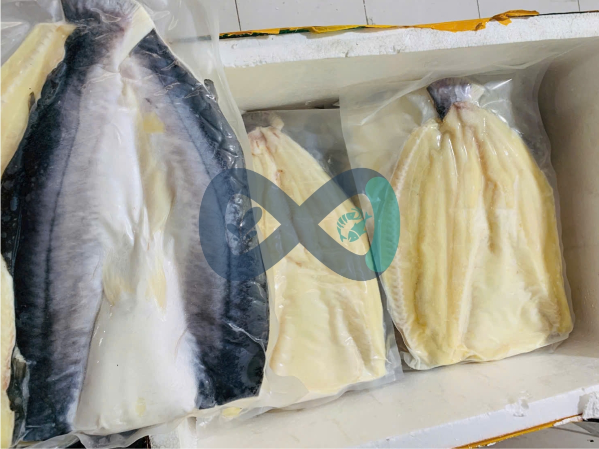 Cá dứa biển một nắng